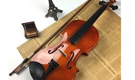 Om de prijs laag te houden is viool basic spelend gemaakt. In diverse kleuren.